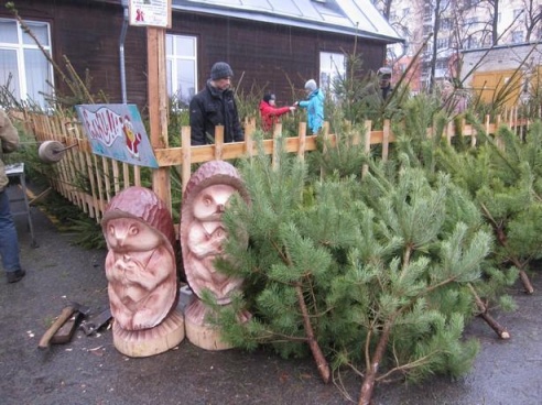 Елочные базары открылись в Барановичах