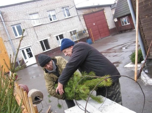 Елочные базары открылись в Барановичах