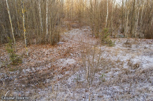 Под Речицей прошли соревнования по GPS-ориентированию «Черное Трофи» в поддержку детей-сирот (фото)