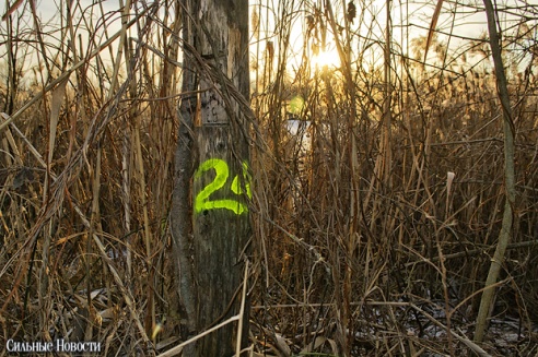 Под Речицей прошли соревнования по GPS-ориентированию «Черное Трофи» в поддержку детей-сирот (фото)