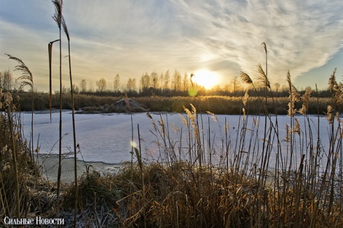 Под Речицей прошли соревнования по GPS-ориентированию «Черное Трофи» в поддержку детей-сирот (фото)