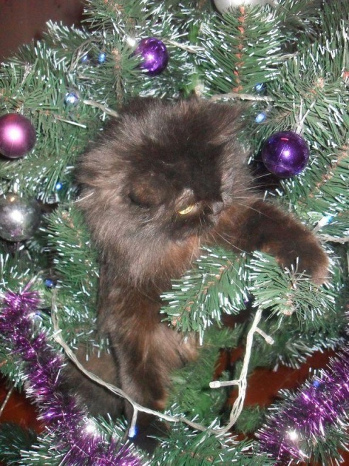 Жители Барановичей украшают елки имбирными пряниками, раритетными игрушками и фигурками из дерева