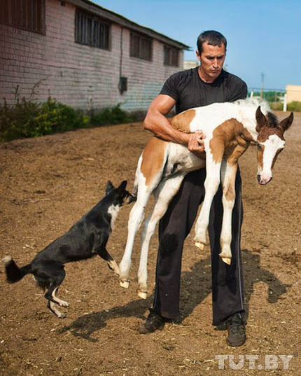 Отлов животных в Светлогорском районе: «Стреляя в собак, они могли попасть в детей»