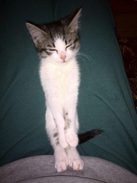 «Подслушано Барановичи» за неделю (22-29 января)