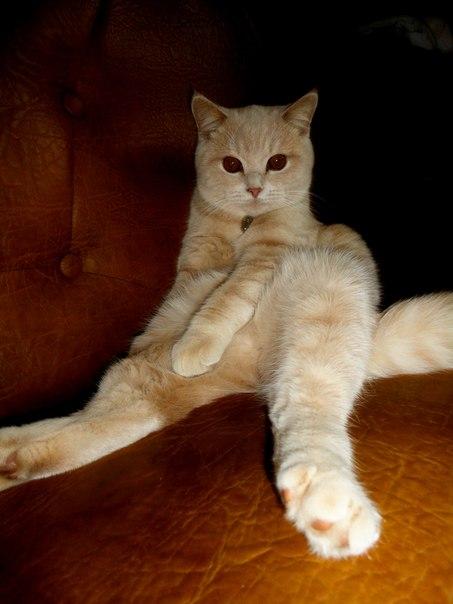 «Подслушано Барановичи» за неделю (22-29 января)