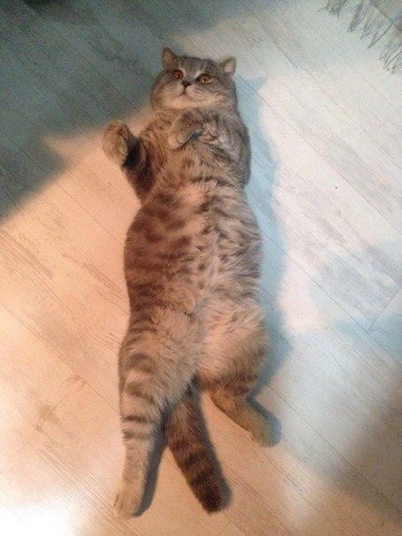 «Подслушано Барановичи» за неделю (22-29 января)