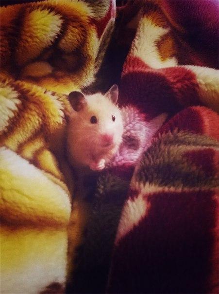 «Подслушано Барановичи» за неделю (22-29 января)