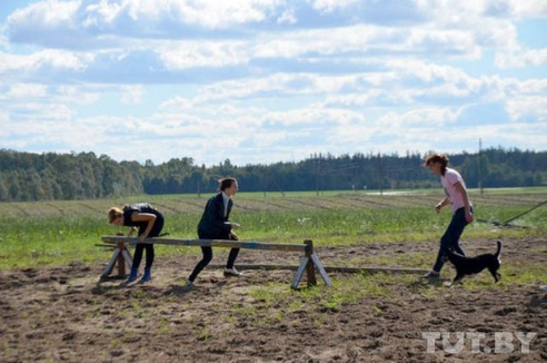 Отлов животных в Светлогорском районе: «Стреляя в собак, они могли попасть в детей»