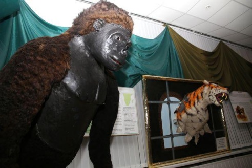 Таких животных Барановичи еще не видели