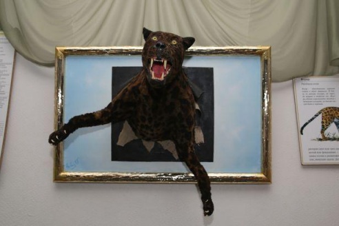 Таких животных Барановичи еще не видели