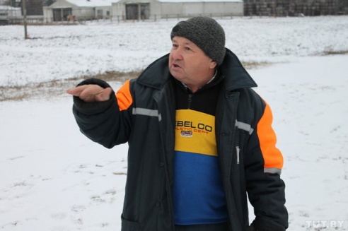 Волк против Медведов: как в Светлогорском районе сельчане отбивались от дикого зверя