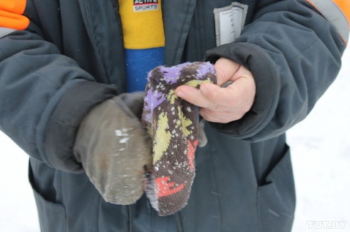 Волк против Медведов: как в Светлогорском районе сельчане отбивались от дикого зверя