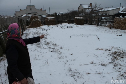 Волк против Медведов: как в Светлогорском районе сельчане отбивались от дикого зверя