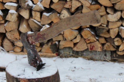 Волк против Медведов: как в Светлогорском районе сельчане отбивались от дикого зверя