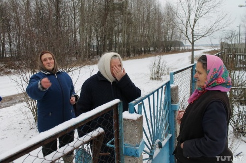 Волк против Медведов: как в Светлогорском районе сельчане отбивались от дикого зверя