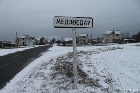 Волк против Медведов: как в Светлогорском районе сельчане отбивались от дикого зверя