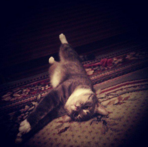 «Подслушано Барановичи» за неделю (22-29 января)