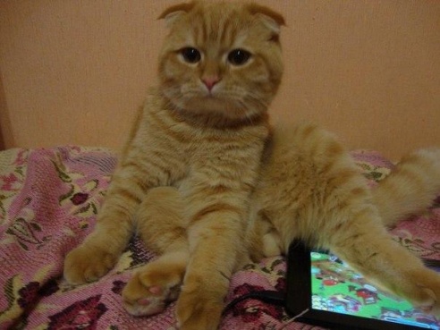 «Подслушано Барановичи» за неделю (22-29 января)