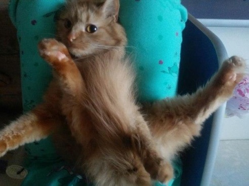 «Подслушано Барановичи» за неделю (22-29 января)