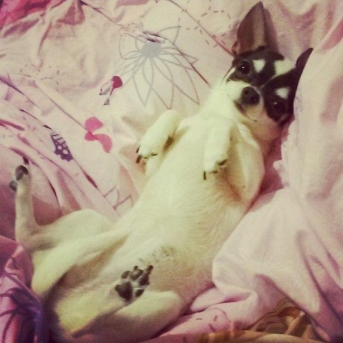 «Подслушано Барановичи» за неделю (22-29 января)