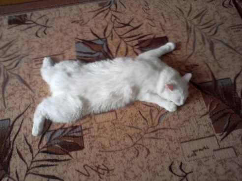 «Подслушано Барановичи» за неделю (22-29 января)