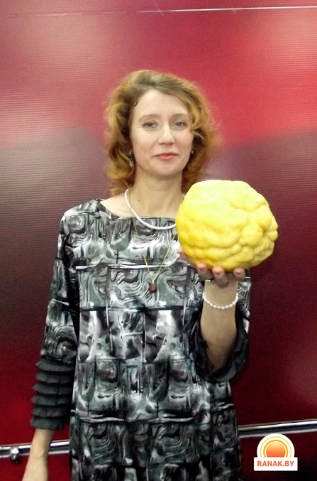 Жительница Светлогорска вырастила на подоконнике цитрон весом 1,386 кг Жительница Светлогорска вырастила на подоконнике цитрон весом 1,386 кг