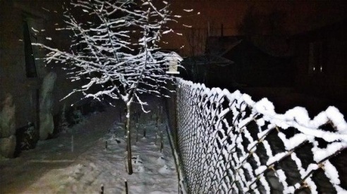 «Подслушано Барановичи» за неделю (30 января - 5 февраля)