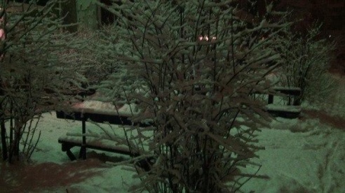 «Подслушано Барановичи» за неделю (30 января - 5 февраля)