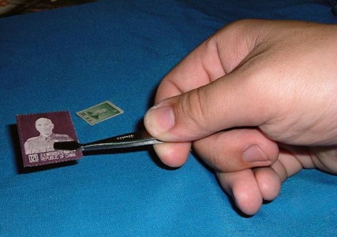 Куда пойти в выходные 7–8 февраля?