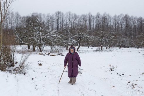 Жители деревни Жары Вилейского района вступились за яблоневый сад (ФОТО)