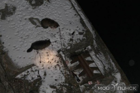 ЧП на одной из колонн старого моста, через реку Пина