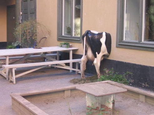 Министерство культуры объявило конкурс на создание памятника корове