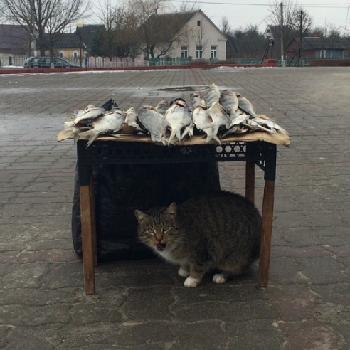 Масленичная неделя в фотографиях