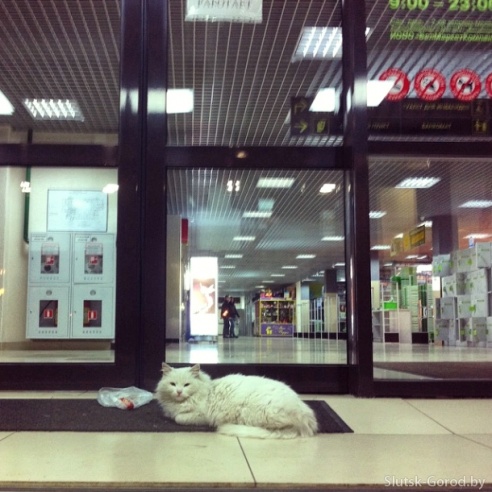 Масленичная неделя в фотографиях