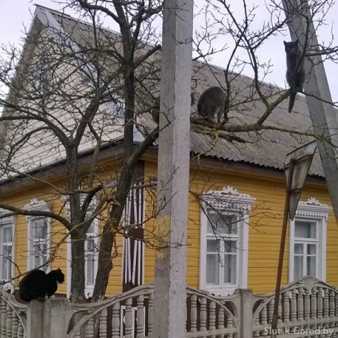 Масленичная неделя в фотографиях