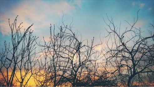 Масленичная неделя в фотографиях