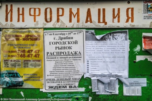 Эхо Чернобыля в Беларуси – Дрибин