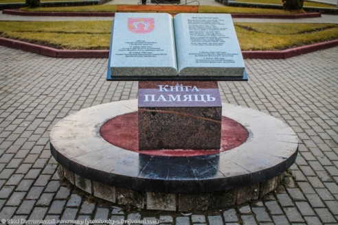 Эхо Чернобыля в Беларуси – Дрибин