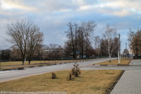 Эхо Чернобыля в Беларуси – Дрибин