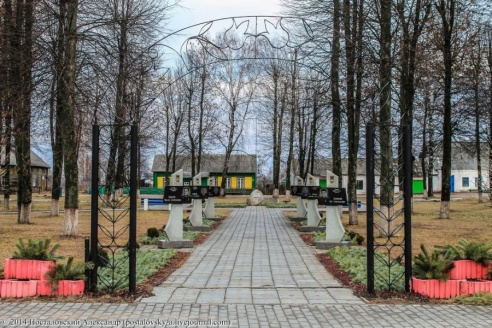 Эхо Чернобыля в Беларуси – Дрибин