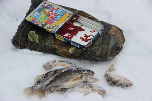 В Дрибинском районе прошли соревнования по лову рыбы со льда