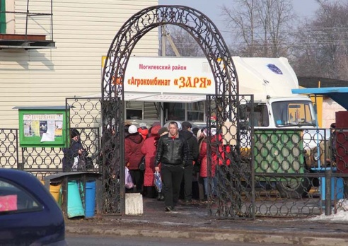 Как гуляли Масленицу в Дрибине?