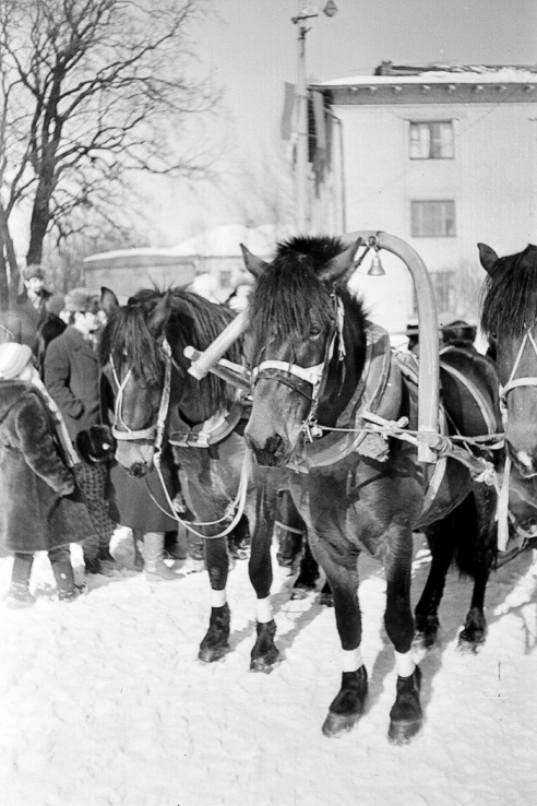 Как праздновали Масленицу в Горках 30 лет назад? Уникальные фотографии