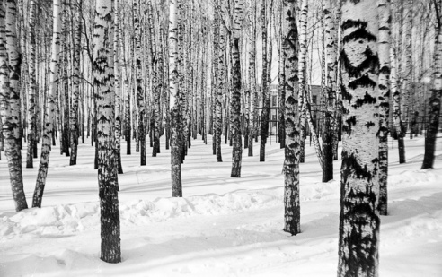 Как праздновали Масленицу в Горках 30 лет назад? Уникальные фотографии