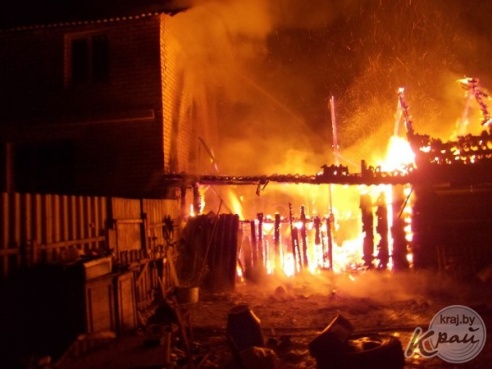 В Вилейке 25 февраля горел сарай. Спасатели вывели из постройки семь свиней (ФОТО)