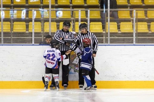 Хоккей: бой с Брянском