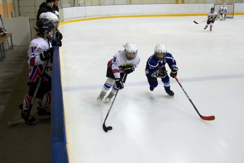 Хоккей: бой с Брянском