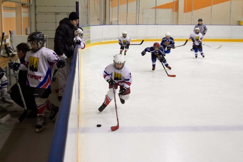 Хоккей: бой с Брянском