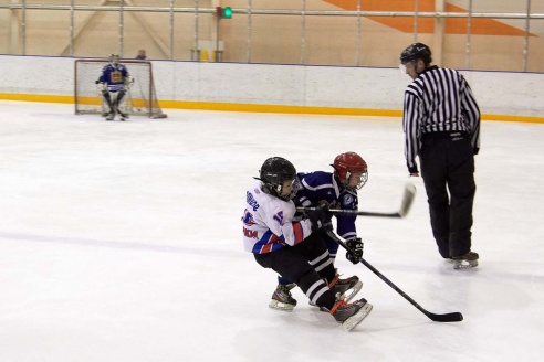 Хоккей: бой с Брянском