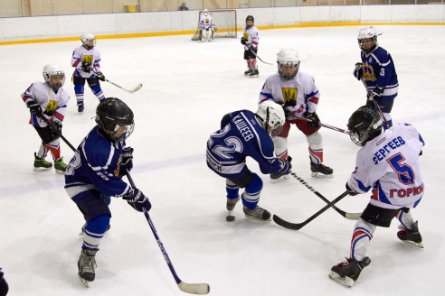 Хоккей: бой с Брянском